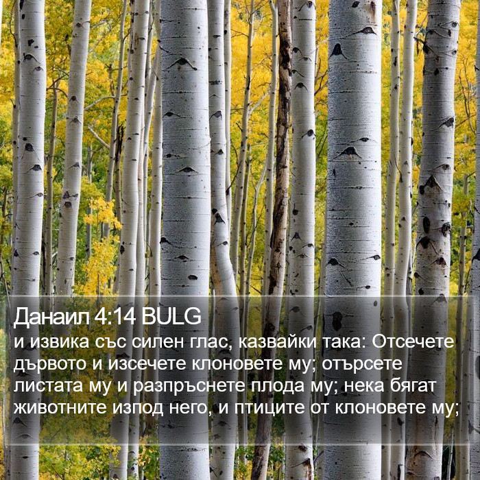 Данаил 4:14 BULG Bible Study