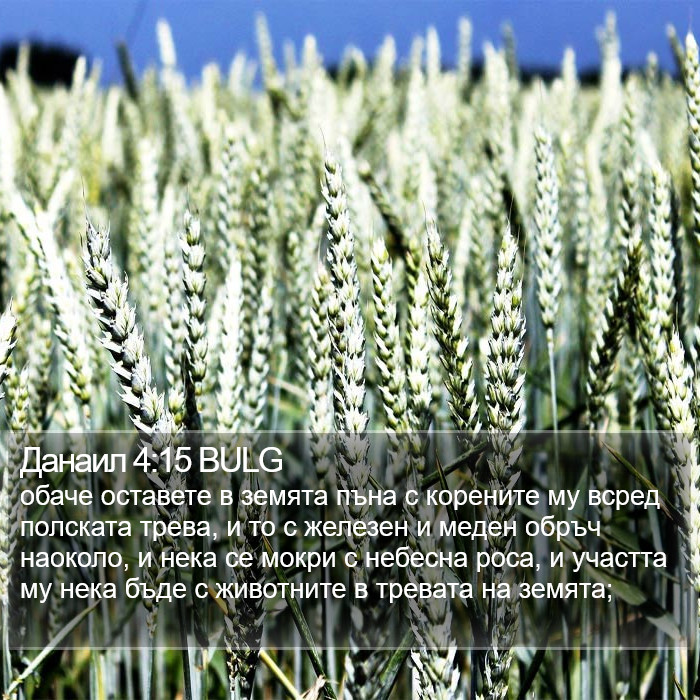 Данаил 4:15 BULG Bible Study