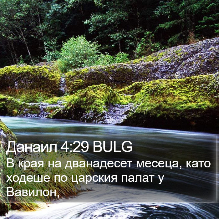 Данаил 4:29 BULG Bible Study