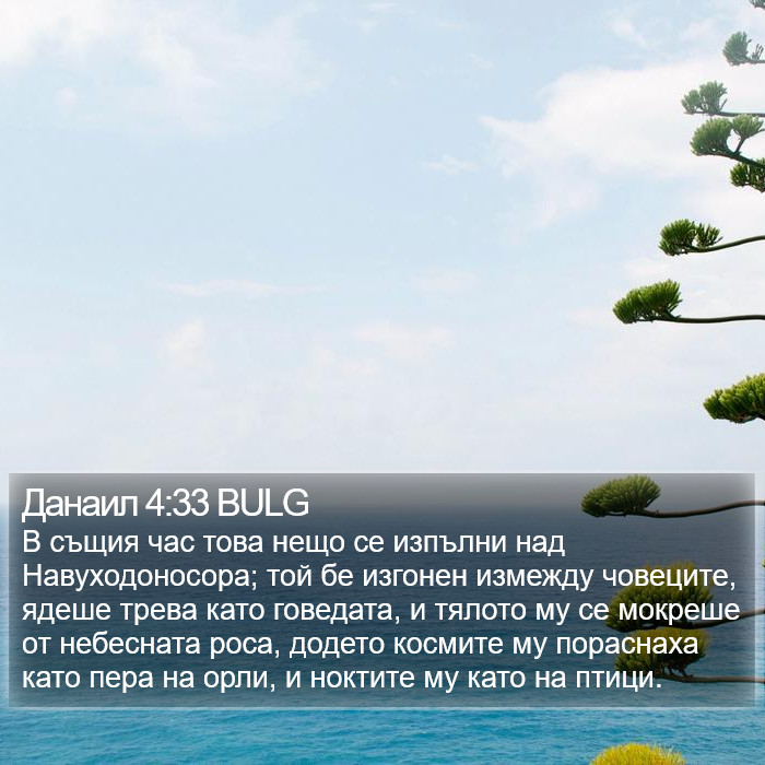 Данаил 4:33 BULG Bible Study