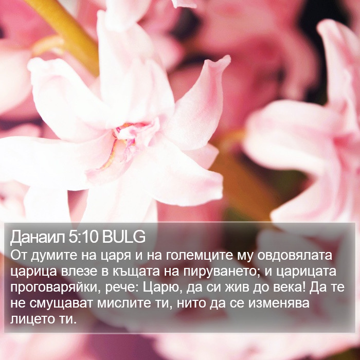 Данаил 5:10 BULG Bible Study