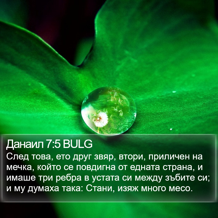 Данаил 7:5 BULG Bible Study