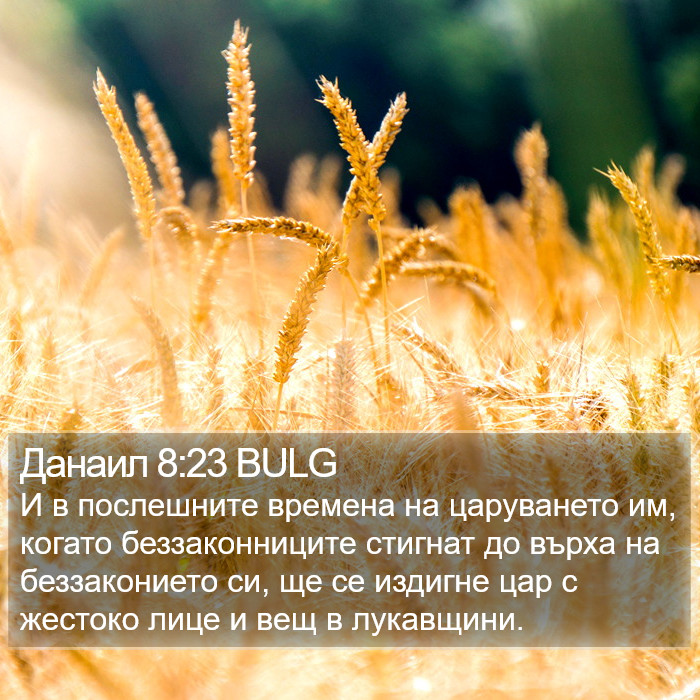 Данаил 8:23 BULG Bible Study