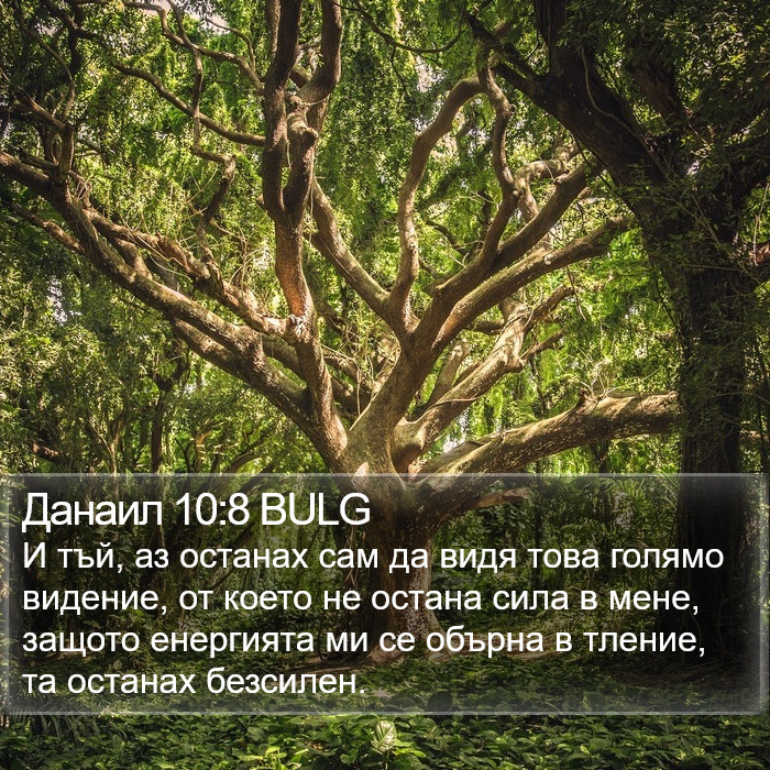 Данаил 10:8 BULG Bible Study