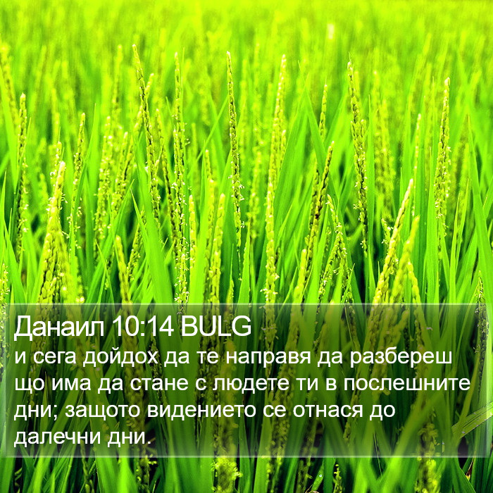 Данаил 10:14 BULG Bible Study