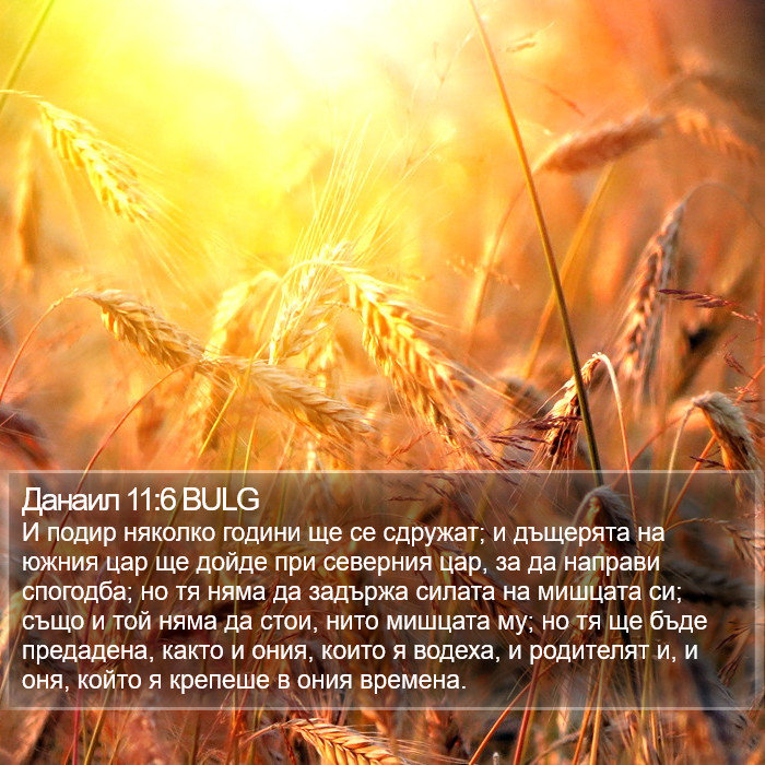 Данаил 11:6 BULG Bible Study
