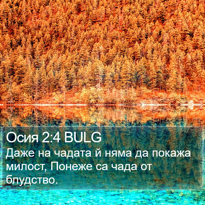 Осия 2:4 BULG Bible Study