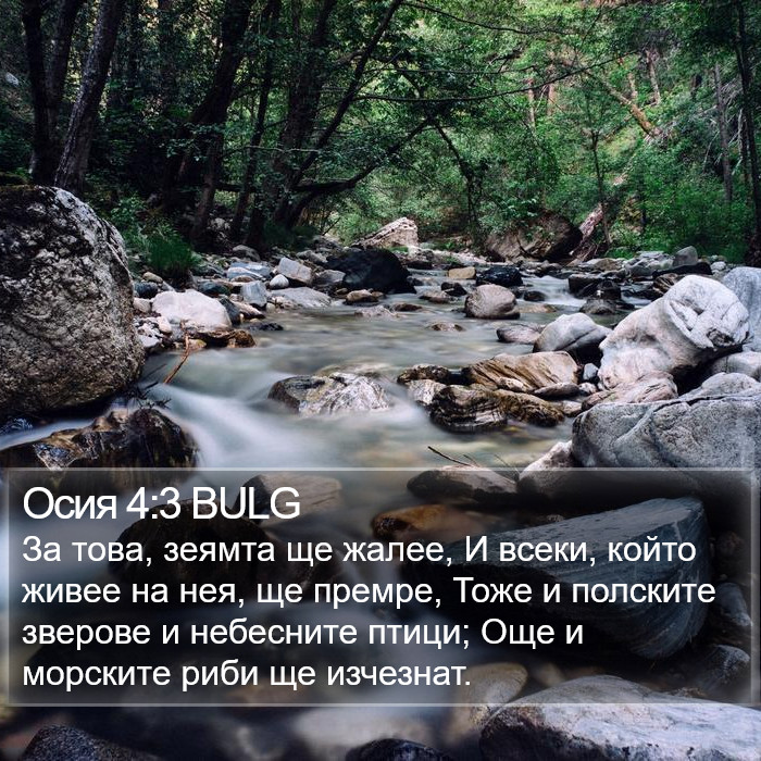 Осия 4:3 BULG Bible Study