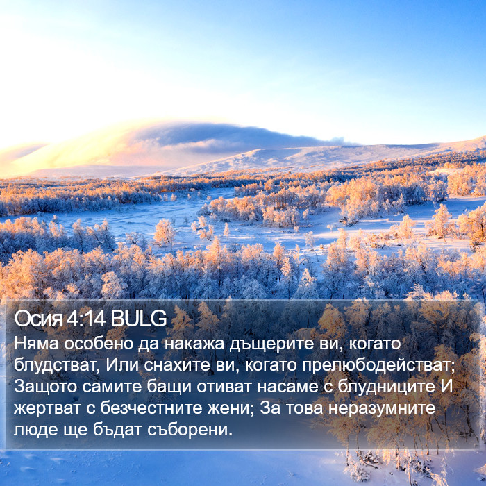 Осия 4:14 BULG Bible Study