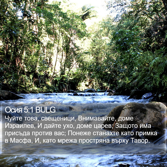 Осия 5:1 BULG Bible Study