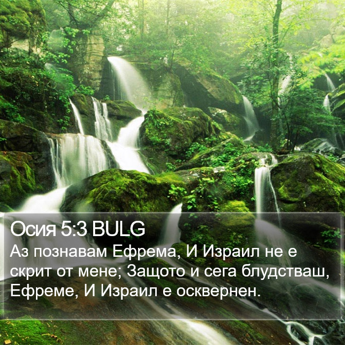 Осия 5:3 BULG Bible Study