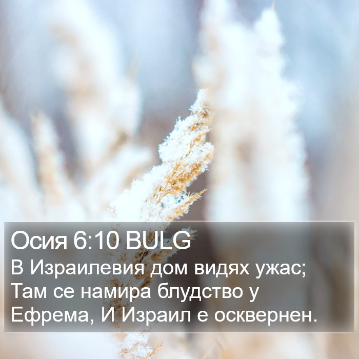 Осия 6:10 BULG Bible Study