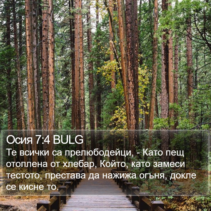 Осия 7:4 BULG Bible Study