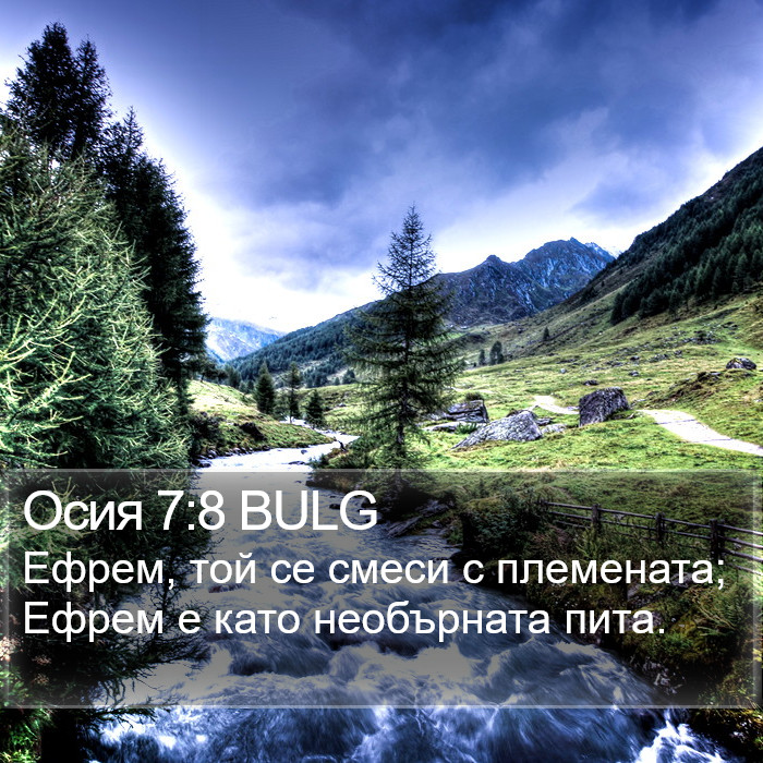 Осия 7:8 BULG Bible Study