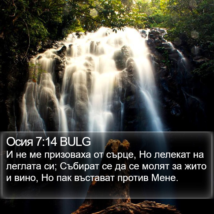 Осия 7:14 BULG Bible Study