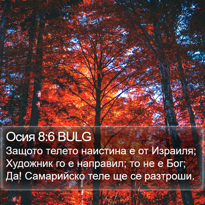 Осия 8:6 BULG Bible Study