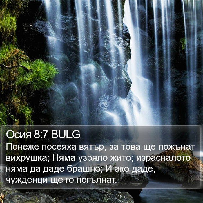 Осия 8:7 BULG Bible Study