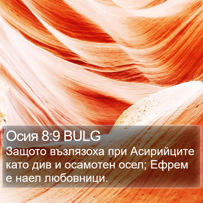 Осия 8:9 BULG Bible Study