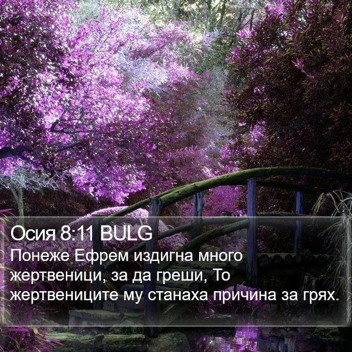 Осия 8:11 BULG Bible Study