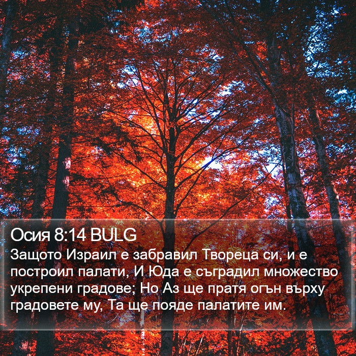 Осия 8:14 BULG Bible Study