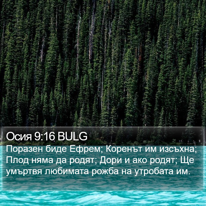 Осия 9:16 BULG Bible Study