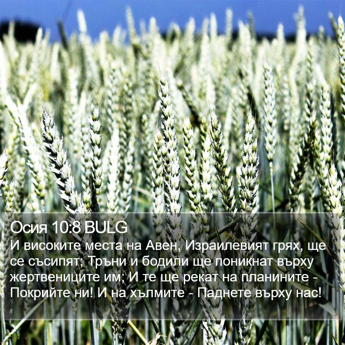 Осия 10:8 BULG Bible Study
