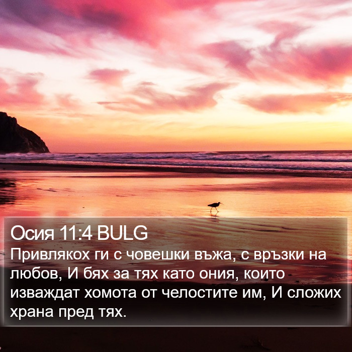 Осия 11:4 BULG Bible Study