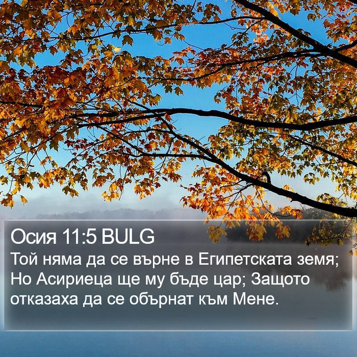 Осия 11:5 BULG Bible Study