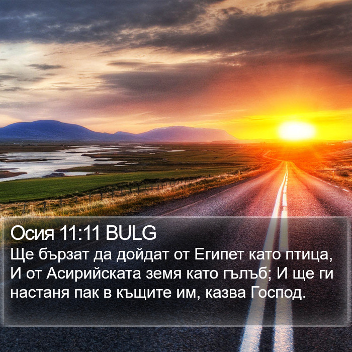 Осия 11:11 BULG Bible Study