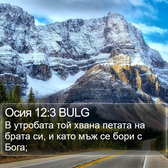Осия 12:3 BULG Bible Study
