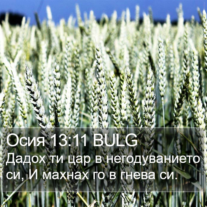 Осия 13:11 BULG Bible Study