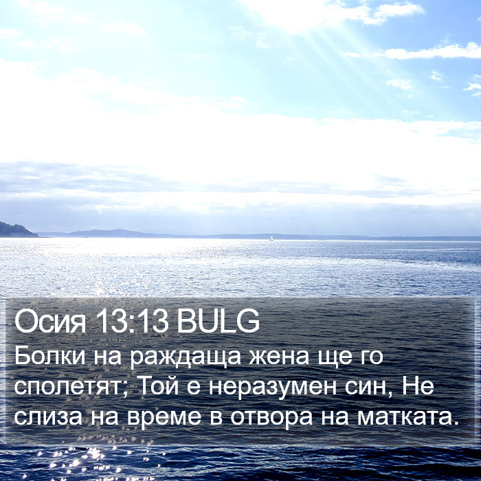 Осия 13:13 BULG Bible Study