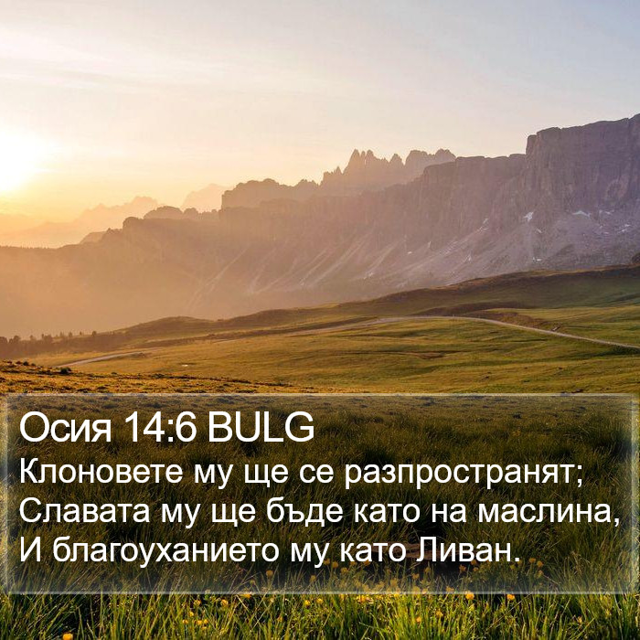 Осия 14:6 BULG Bible Study