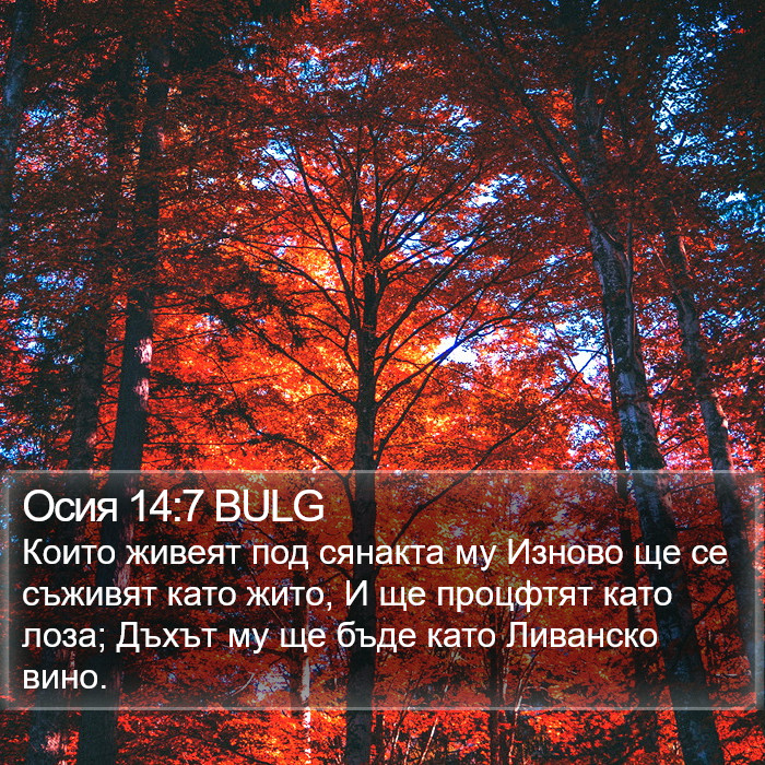 Осия 14:7 BULG Bible Study