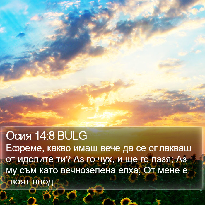 Осия 14:8 BULG Bible Study