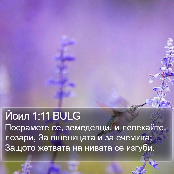 Йоил 1:11 BULG Bible Study