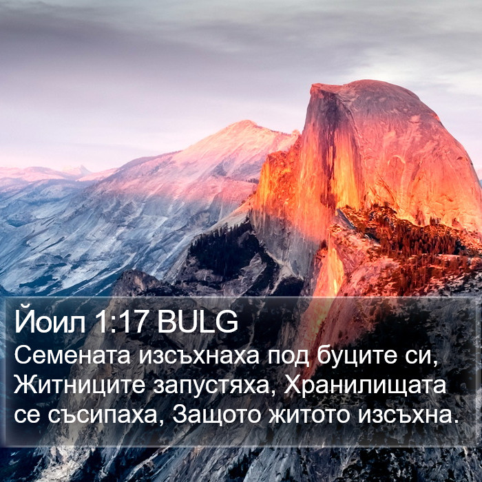 Йоил 1:17 BULG Bible Study