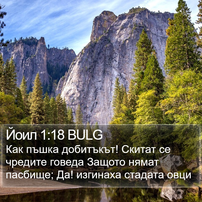 Йоил 1:18 BULG Bible Study