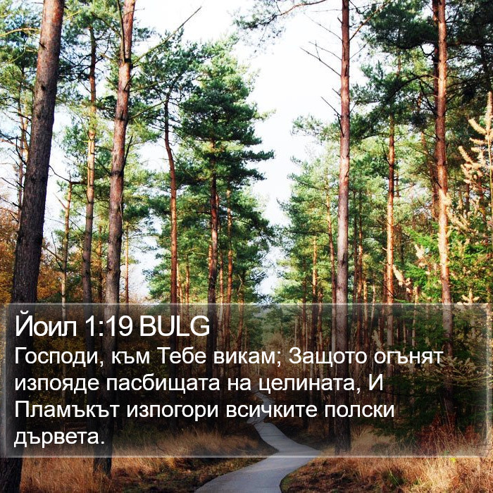 Йоил 1:19 BULG Bible Study