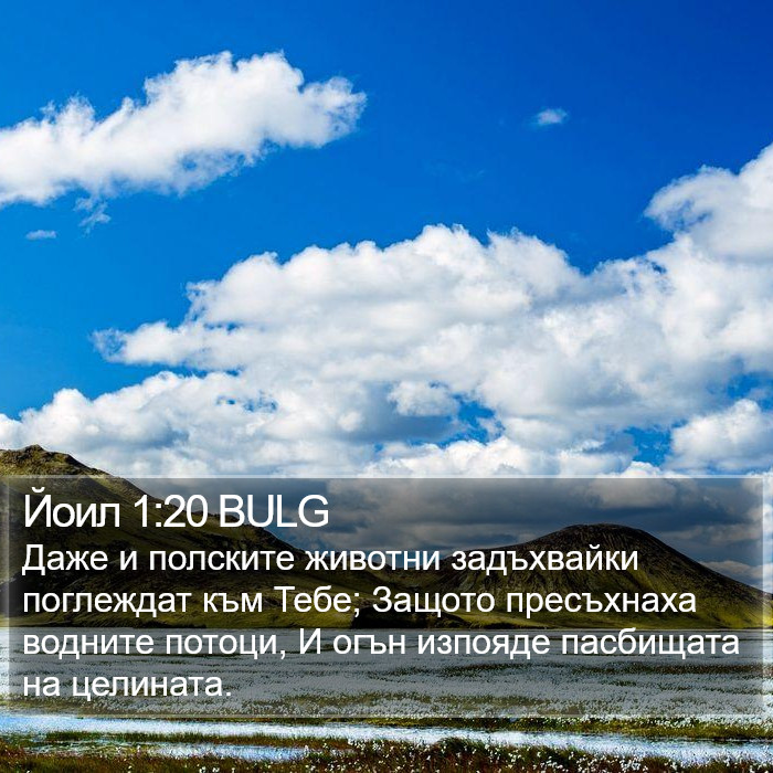 Йоил 1:20 BULG Bible Study