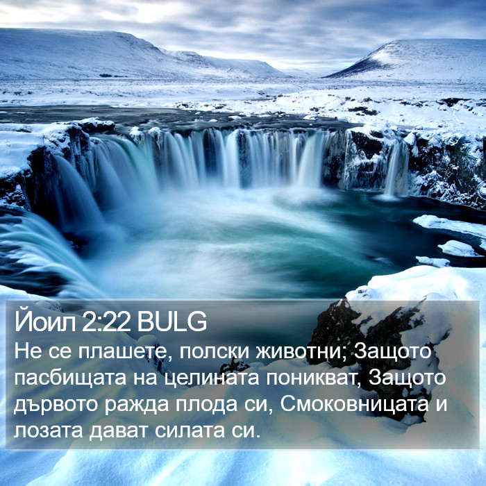 Йоил 2:22 BULG Bible Study