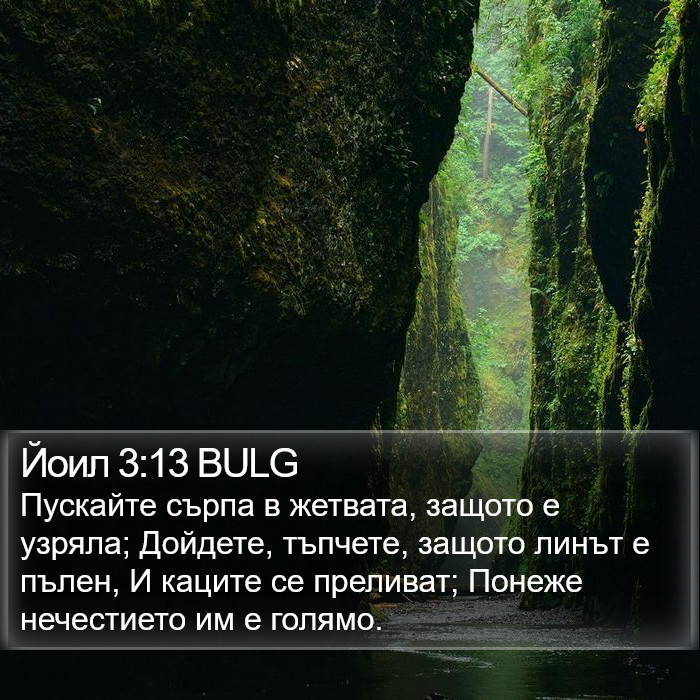 Йоил 3:13 BULG Bible Study