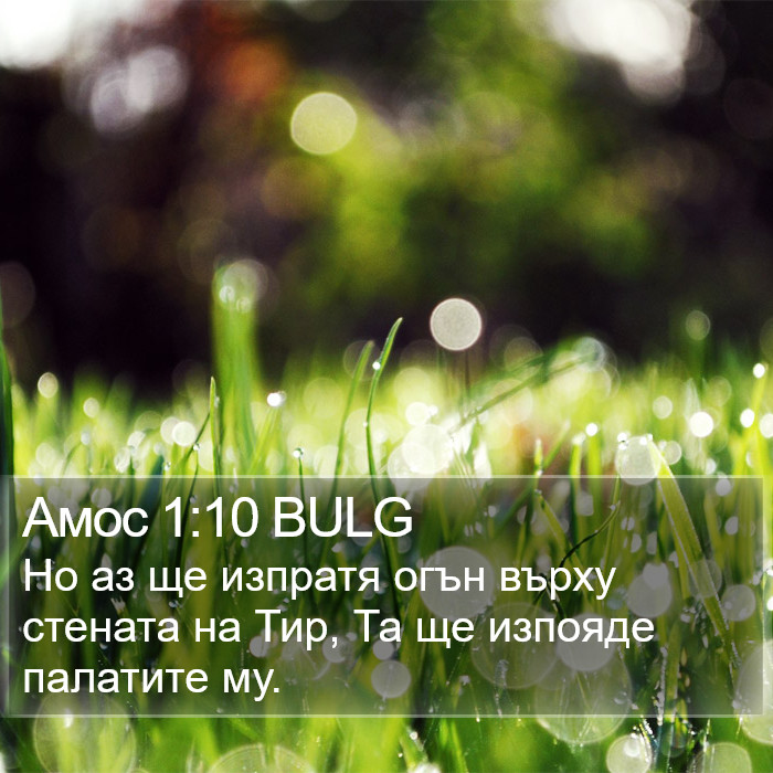 Амос 1:10 BULG Bible Study