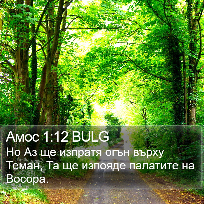 Амос 1:12 BULG Bible Study