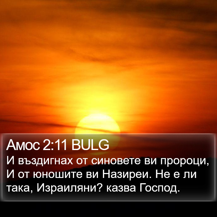 Амос 2:11 BULG Bible Study