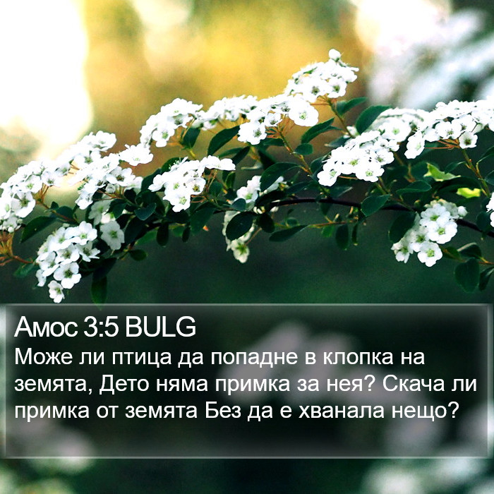 Амос 3:5 BULG Bible Study