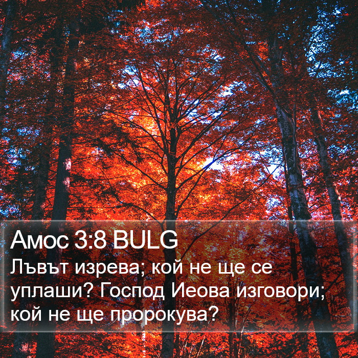 Амос 3:8 BULG Bible Study