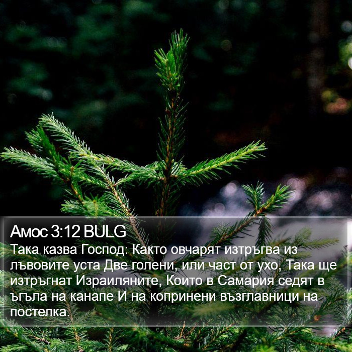 Амос 3:12 BULG Bible Study