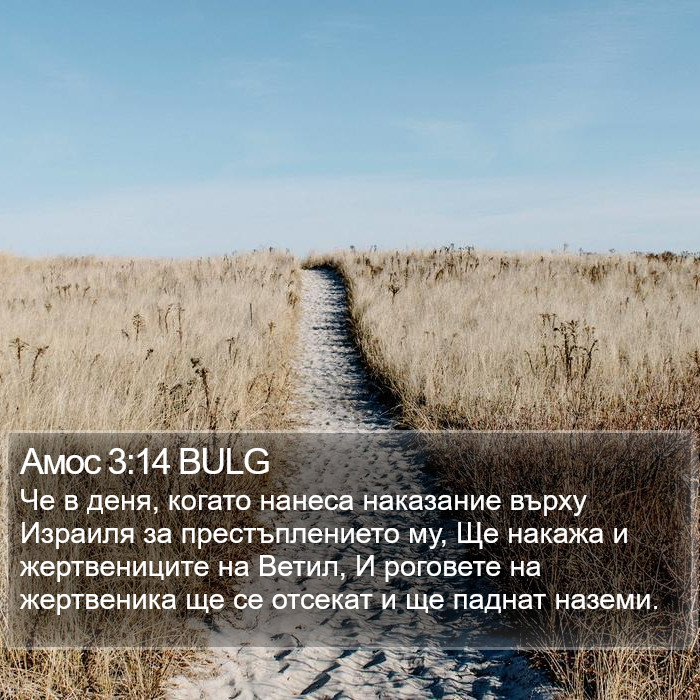 Амос 3:14 BULG Bible Study