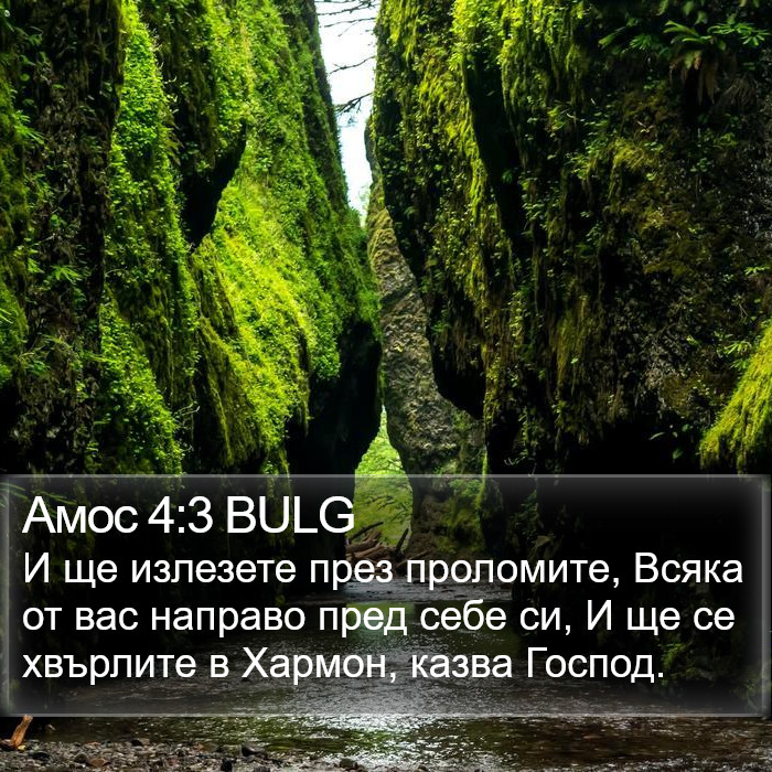 Амос 4:3 BULG Bible Study